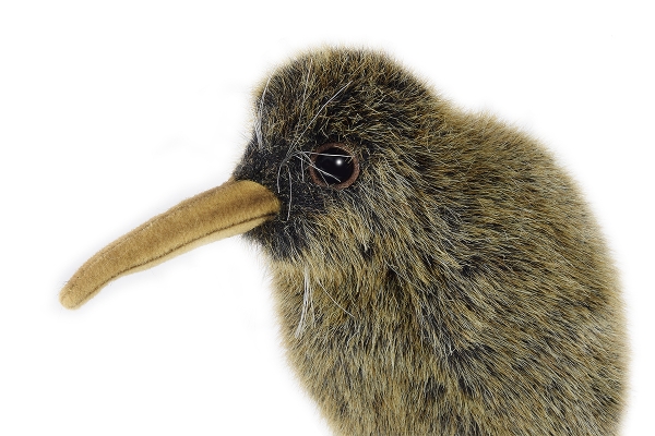 Kiwi 20 cm